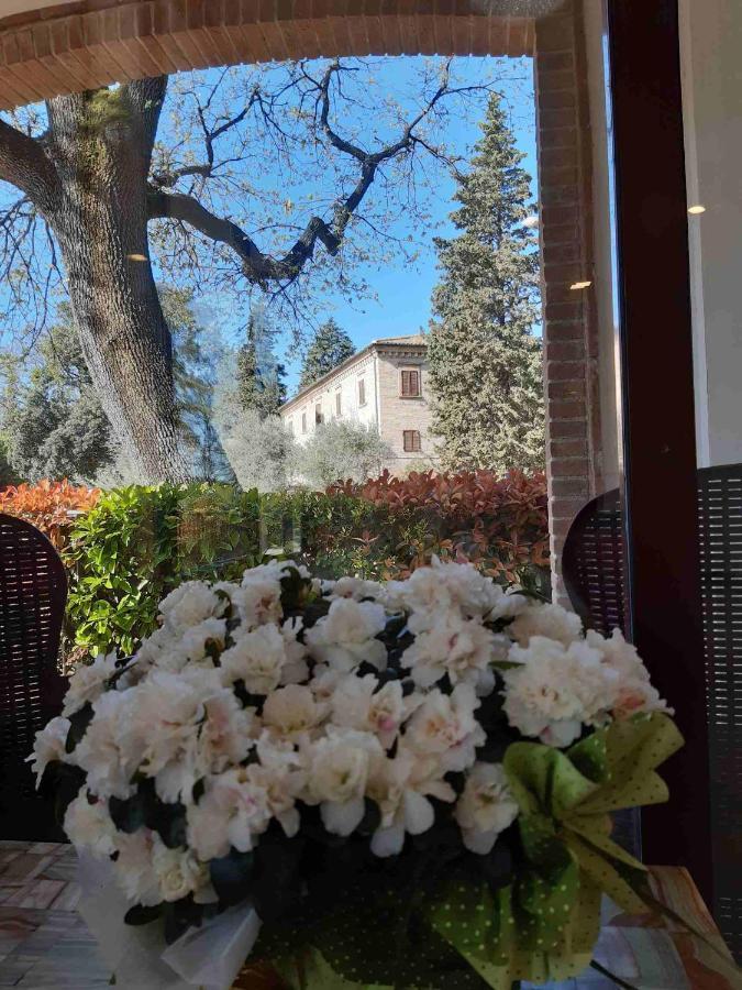 Hotel Il Boschetto Толентино Екстериор снимка